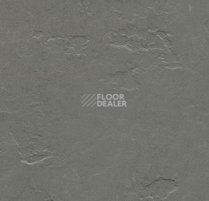 Линолеум Forbo Marmoleum Decibel on Order e374535 cornish grey фото 1 | FLOORDEALER